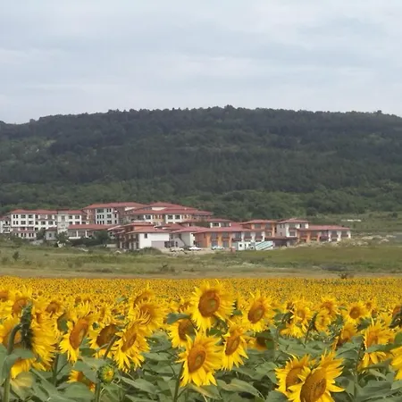 Harmony Hills Tomovi A12 *