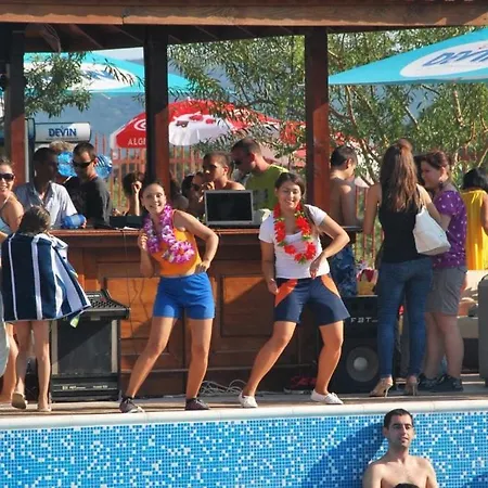 Harmony Hills Tomovi A12 Rogachevo